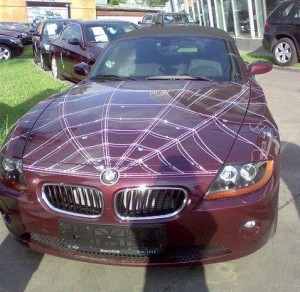 bmw z4 bling 2